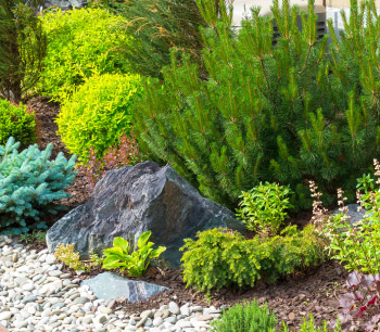 Landscaping Services